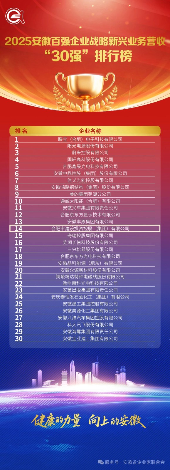 1763967134353 3.2025安徽百强企业战术新兴业务营收30强