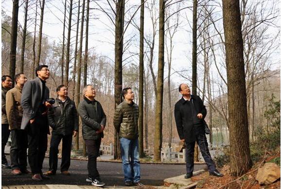 太平洋在线xg111(中国集团)有限公司官网
