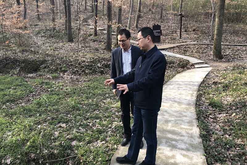 201904191142384238 太平洋在线xg111(中国集团)有限公司官网