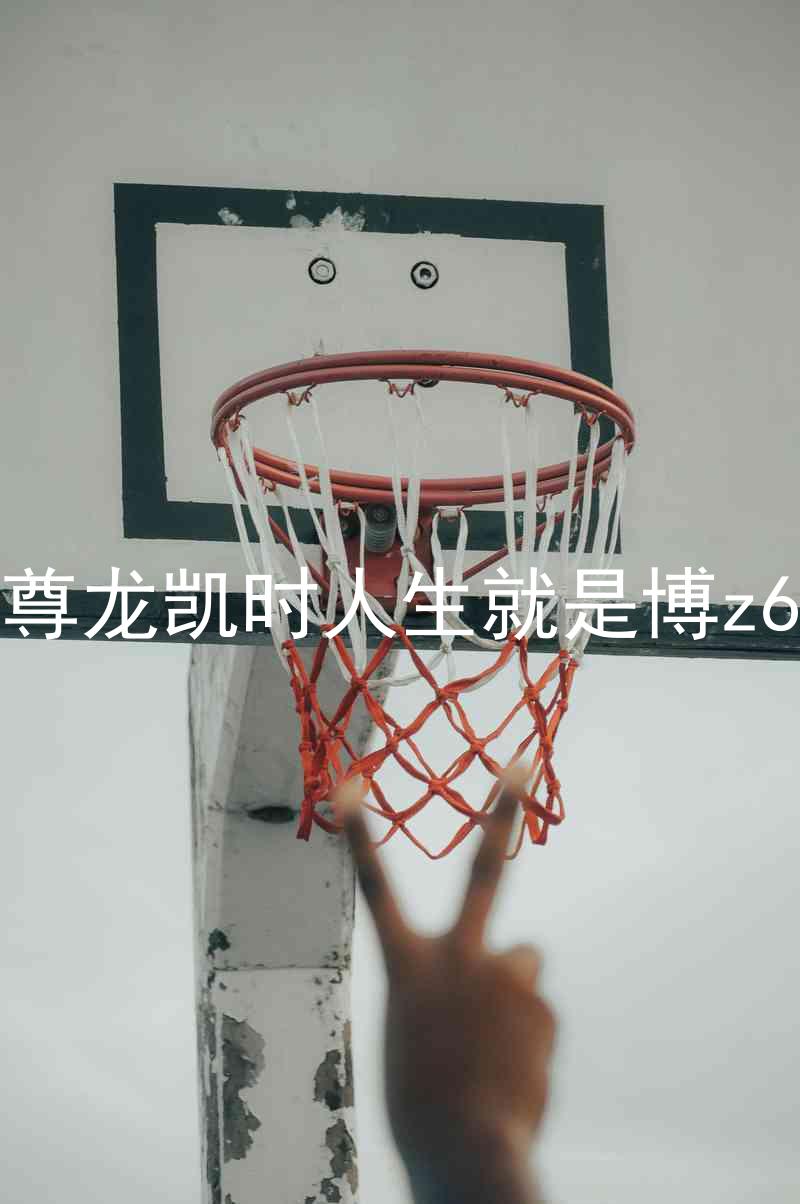 尊龙凯时人生就是博z6