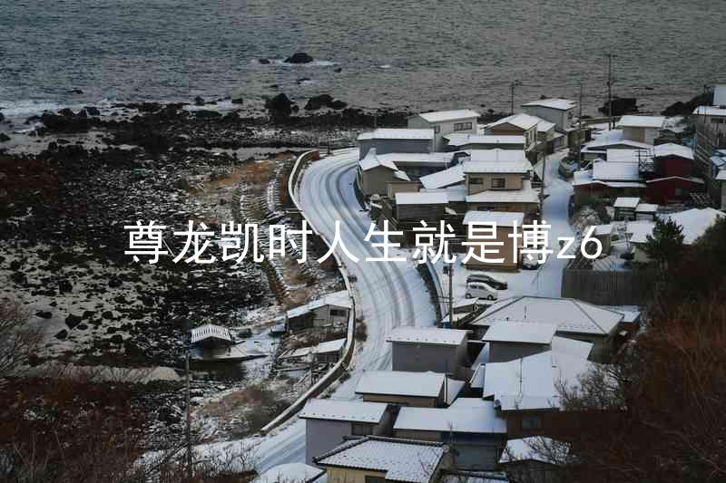 尊龙凯时人生就是博z6
