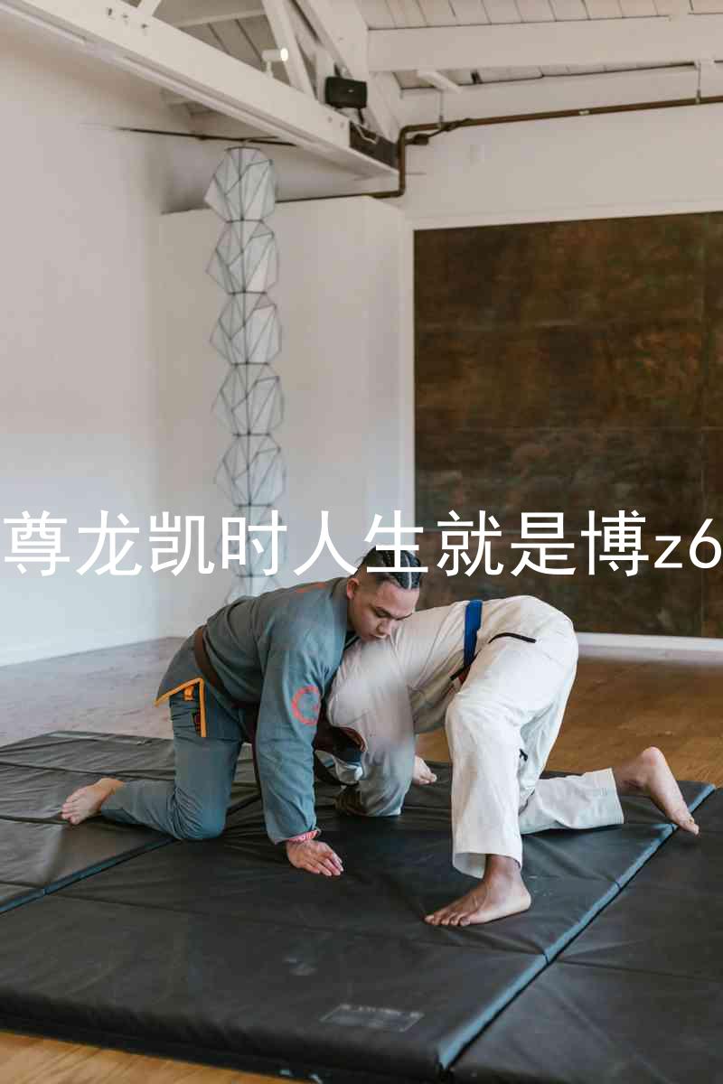 尊龙凯时人生就是博z6