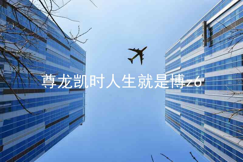 尊龙凯时人生就是博z6
